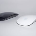 Fusce porttitor ante felis sed quam