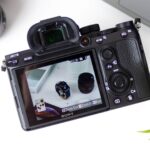 Proin lacinia hendrerit nisl consequat