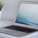 Vivamus vitae fermentum nisi