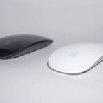 Quisque a nunc sed lacus eleifend